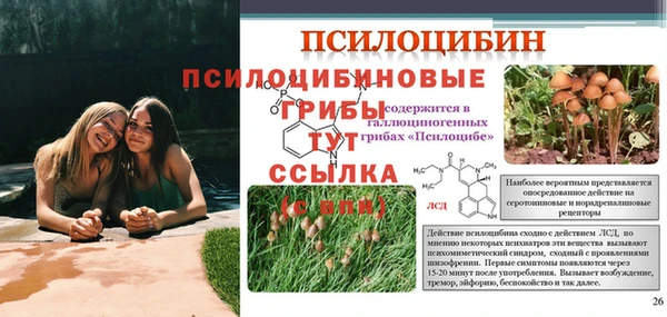 дурь Апатиты