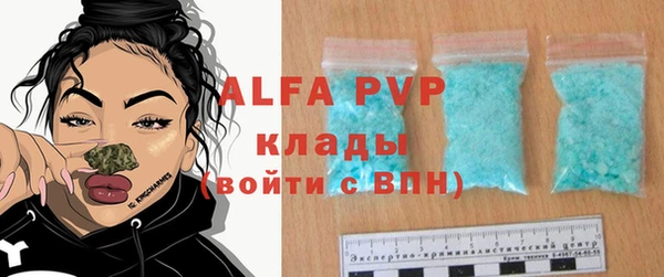 шишки Анжеро-Судженск